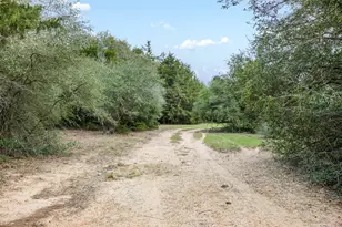 1017 New Ulm Rd, Cat Spring, TX 78933 - Photo 14