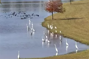 7414 Evelyn Grv Dr, Spring, TX 77379 - Photo 44