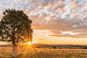 Lot 20 328 Rolling Hl Dr, Cat Spring, TX 78933 - Photo 1