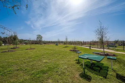 16464 Blossom Grove Drive, Conroe, TX 77303 - Photo 38