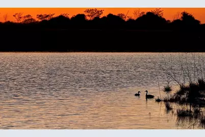 16251 Summer Aster Trail, Hockley, TX 77447 - Photo 30