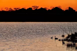 16251 Summer Aster Trl, Hockley, TX 77447 - Photo 30