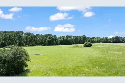 Tbd (Tracts 11 & 12) St Delight Road, Paige, TX 78659 - Photo 6