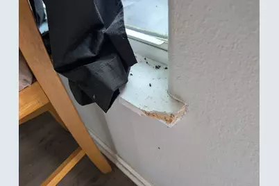 24888 Fm-787, Saratoga, TX 77585 - Photo 16