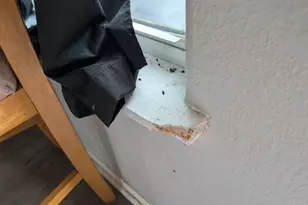 24888 FM 787, Saratoga, TX 77585 - Photo 16