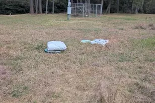 24888 FM 787, Saratoga, TX 77585 - Photo 22