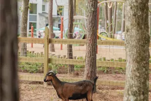 8662 Jam Session Dr, Montgomery, TX 77316 - Photo 34