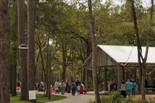 8662 Jam Session Dr, Montgomery, TX 77316 - Photo 28