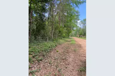 0 Friar Tuck Drive, Shepherd, TX 77371 - Photo 2