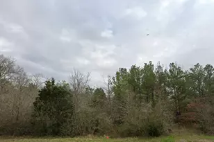 Tbd N Fm 1486 Rd, Montgomery, TX 77356 - Photo 6
