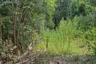 838 Fm 1489 Rd, Brookshire, TX 77423 - Photo 6