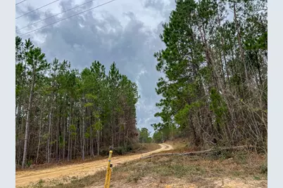 T-1 Farm To Market 1012, Newton, TX 75966 - Photo 4