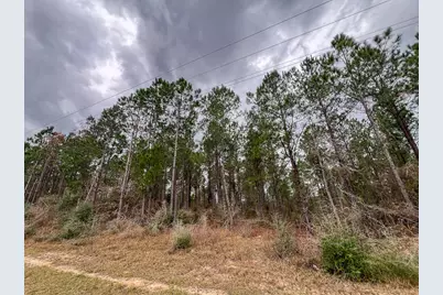 T-1 Farm To Market 1012, Newton, TX 75966 - Photo 12