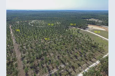 006 Nelson Dr, Livingston, TX 77351 - Photo 4