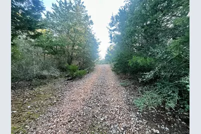 Tbd Hayek Road, Columbus, TX 78934 - Photo 6