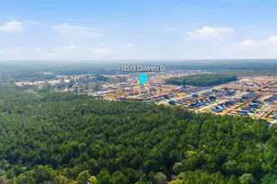 18519 Childress Dr, Conroe, TX 77306 - Photo 48