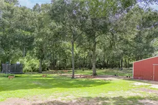 28918 Misty Oaks Dr, Huffman, TX 77336 - Photo 40