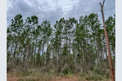 T-5 Farm To Market 1012, Newton, TX 75966 - Photo 6