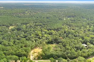 0 Crooked Creek, Hockley, TX 77447 - Photo 8