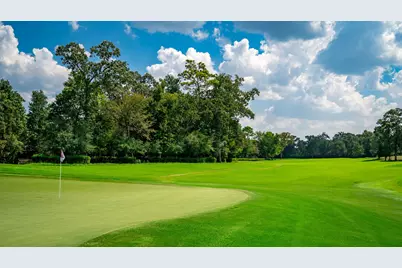 7 Primm Valley Ct, The Woodlands, TX 77389 - Photo 20