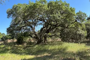 2183 Farm To Market 3283, Hallettsville, TX 77964 - Photo 4