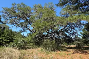 2183 Farm To Market 3283, Hallettsville, TX 77964 - Photo 40
