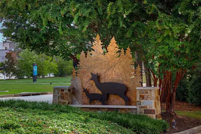 157 Pine Crest Circle, Montgomery, TX 77316 - Photo 26