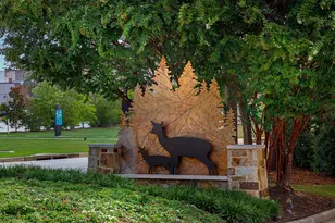 157 Pine Crest Cir, Montgomery, TX 77316 - Photo 26