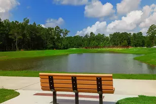 157 Pine Crest Cir, Montgomery, TX 77316 - Photo 44