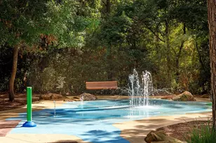 157 Pine Crest Cir, Montgomery, TX 77316 - Photo 34