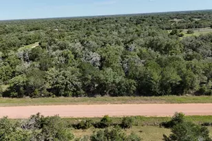 Lot 5 County Road 14, Hallettsville, TX 77964 - Photo 4