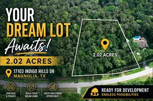 17103 Indigo Hills Dr, Magnolia, TX 77355 - Photo 1