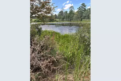 Tr157 Pr 1311, Centerville, TX 75833 - Photo 12