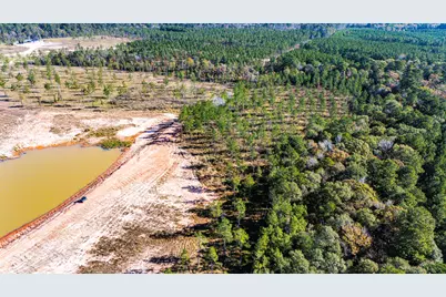 008 Big Buck Drive, Moscow, TX 75960 - Photo 8