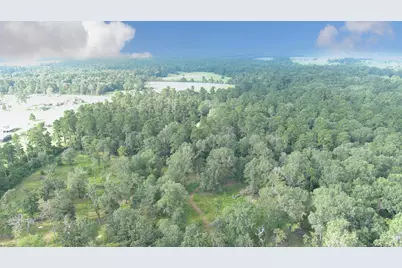 Lot 10 Gregory Lane, New Waverly, TX 77358 - Photo 4