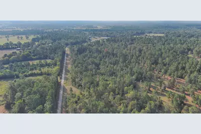 Lot 10 Gregory Lane, New Waverly, TX 77358 - Photo 6