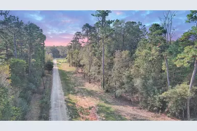 Lot 10 Gregory Lane, New Waverly, TX 77358 - Photo 1