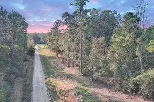 Lot 10 Gregory Ln, New Waverly, TX 77358 - Photo 1