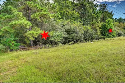 148 Port Au Prince Court, Montgomery, TX 77316 - Photo 20