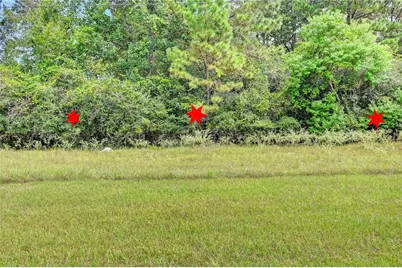 148 Port Au Prince Court, Montgomery, TX 77316 - Photo 24