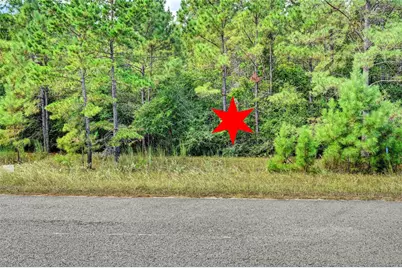 148 Port Au Prince Court, Montgomery, TX 77316 - Photo 8