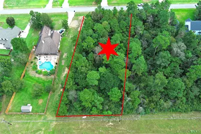 148 Port Au Prince Court, Montgomery, TX 77316 - Photo 40