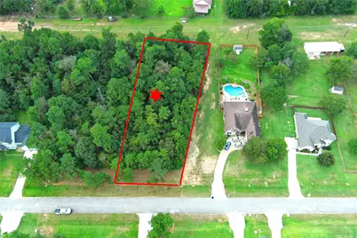 148 Port Au Prince Court, Montgomery, TX 77316 - Photo 32