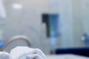 4310 Elsbury St, Houston, TX 77006 - Photo 8