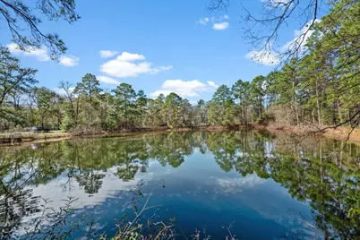 504 Catfish Lane, Conroe, TX 77384 - Photo 34