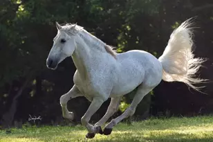 2810 Precinct Line Rd, Richmond, TX 77406 - Photo 1