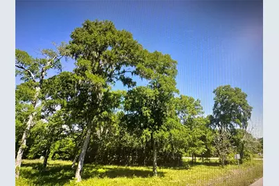 969 County Road 525, Sweeny, TX 77480 - Photo 2