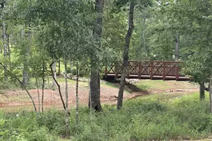 131 Jubilee Mdw Dr, Willis, TX 77318 - Photo 20