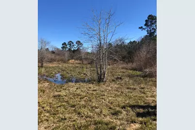 1753 Country Road 301 S, Dayton, TX 77535 - Photo 18