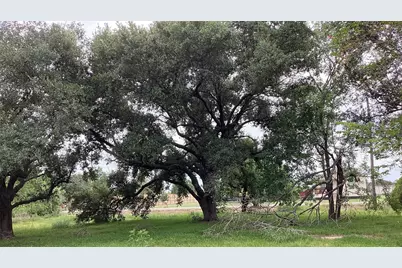 0 County Road 758, Rosharon, TX 77583 - Photo 20